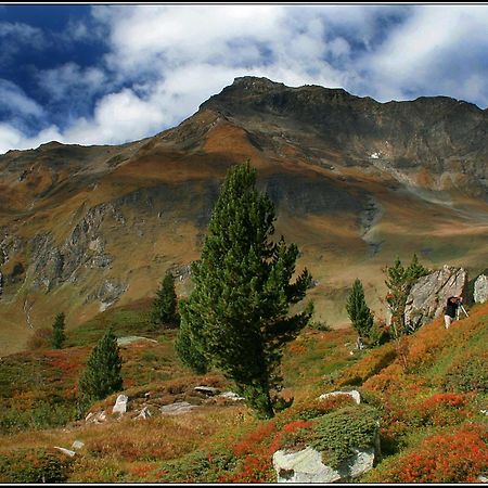 Appartements Alpengarten 马尔尼茨 外观 照片