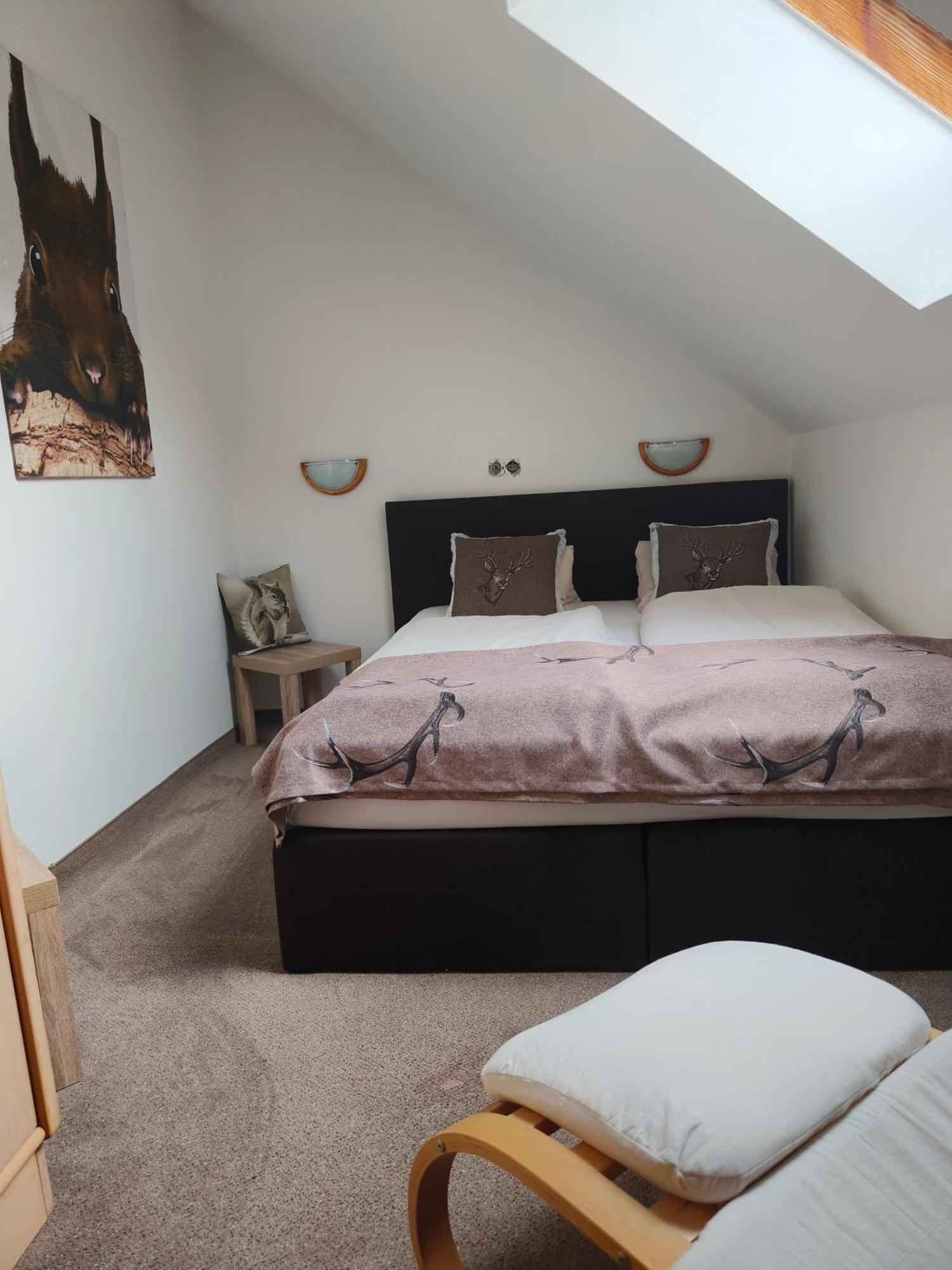 Appartements Alpengarten 马尔尼茨 外观 照片