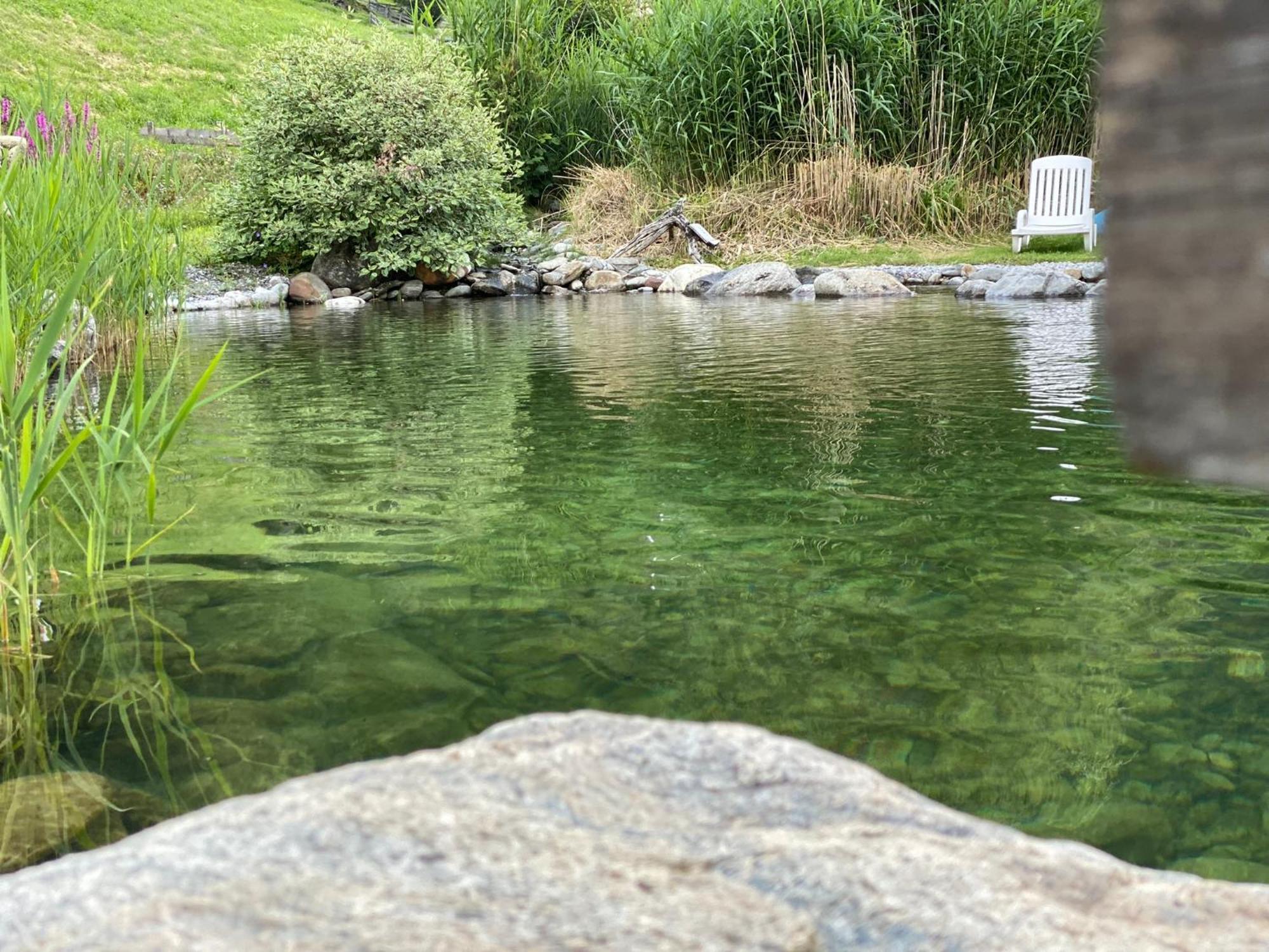 Appartements Alpengarten 马尔尼茨 外观 照片