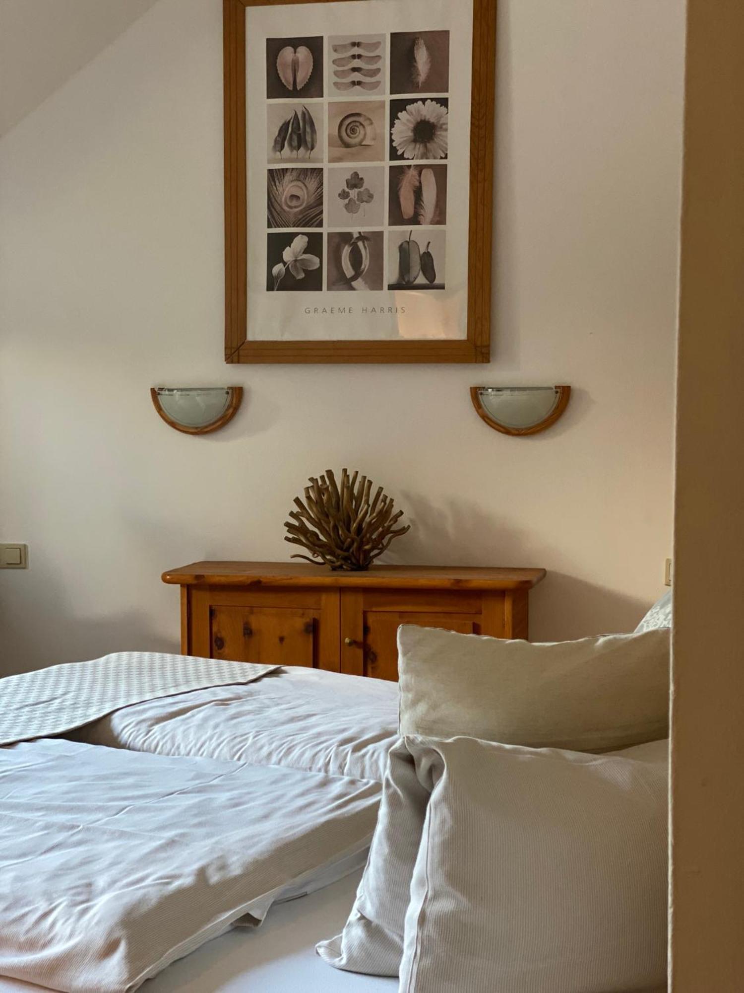 Appartements Alpengarten 马尔尼茨 外观 照片