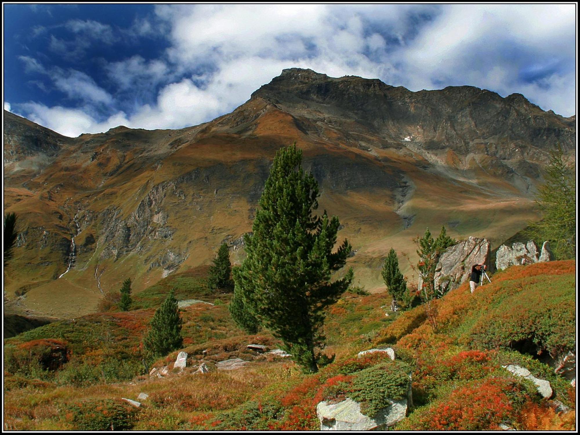 Appartements Alpengarten 马尔尼茨 外观 照片
